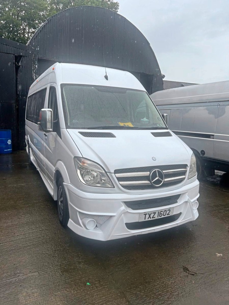 2009 Mercedes Sprinter 311 - Image 1